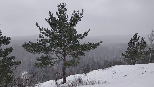 На снегоходах на Пихтовый гребень. ВНЕ ДОРОГ 23.02.2022 смотреть онлайн
