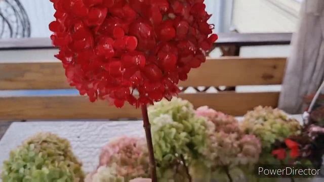 сухоцвет из гортензии смотреть онлайн