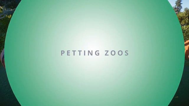 Planet Zoo 2 - What I Want смотреть онлайн