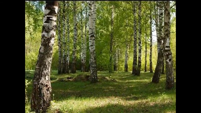 1 РОЛИК НВ Мальковой Новостной с Любе смотреть онлайн