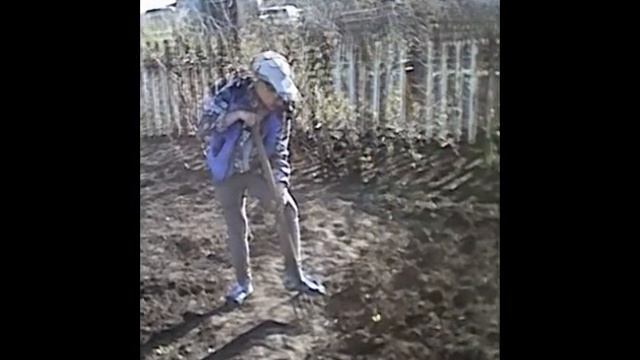 Я на даче (фотографии) смотреть онлайн