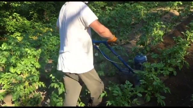 Второе окучивание картошки ЛопЛошем смотреть онлайн
