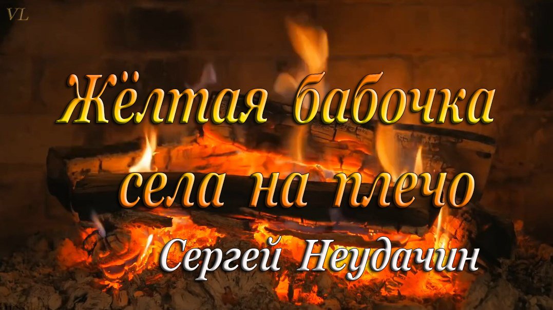 Желтая бабочка села на плечо - Сергей Неудачин