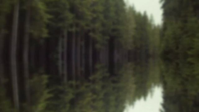 Kia Sound Logo Effects