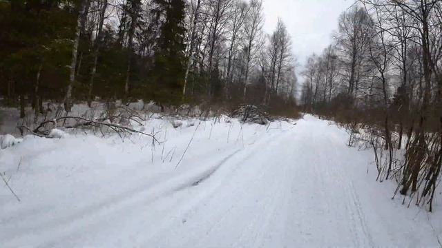 Катим на велике по зимнику на озеро Сомино смотреть онлайн