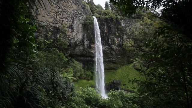 Music For Relax Музыка для медитации Звуки природы Водопад Пение птиц #meditation #meditationmusic