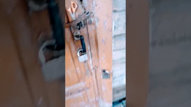 КАК ИЗБАВИТЬСЯ ОТ МЫШЕЙ В ДОМЕ, ЛОВУШКА ДЛЯ МЫШЕЙ смотреть онлайн
