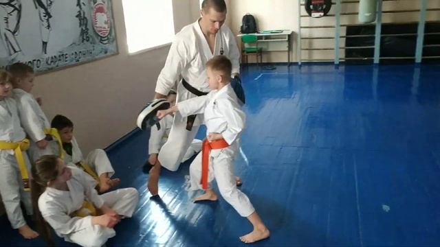 Heian shodan training. 23.03.2019 смотреть онлайн