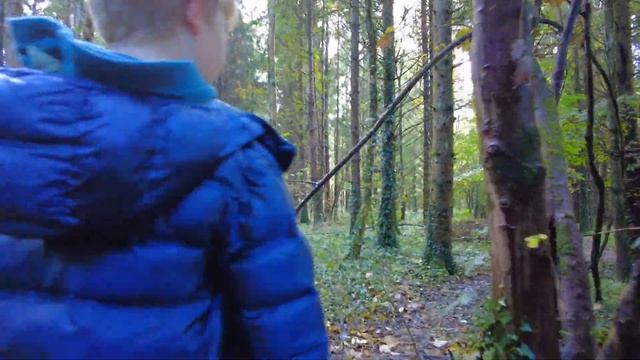 Ирландия / НЕ за грибами мы пришли!/ Море грибов/ Дымяки? /Кафе "Далёкое дерево"/ Ужасы смотреть онлайн
