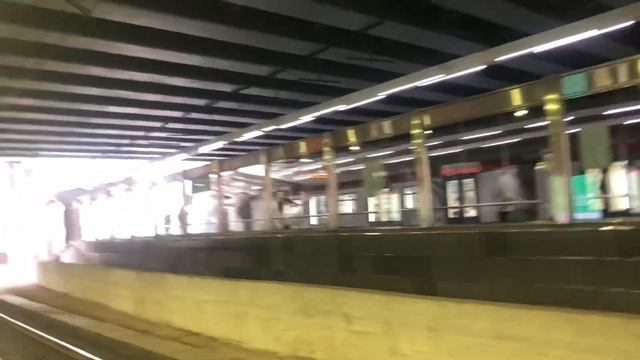 Электропоезда «ЭС2Г» и «Москва 2» на станции «Кутузовская» // 7 июня 2021 года смотреть онлайн