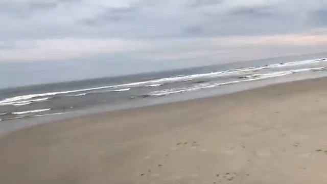 Jenya Geyn / Женя Гейн замуж за миллионера. Денег не видать. Свадьба попахивает вульгарщиной. смотреть онлайн