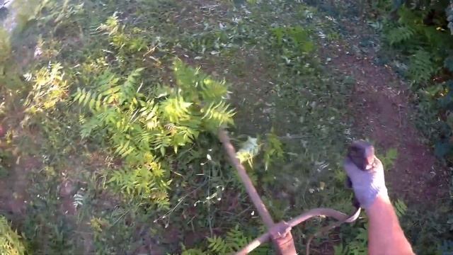 Где не стоит садить Сумах! смотреть онлайн