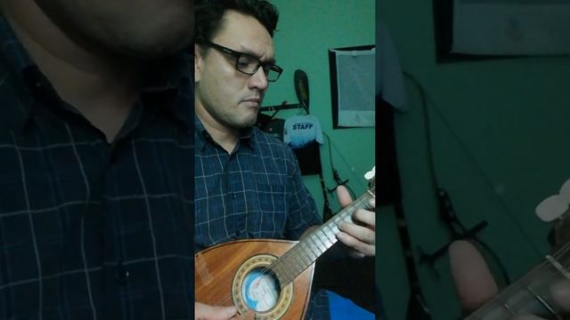 Motivos al estilo de Vicente Fernandez Cover MANDOLINA смотреть онлайн