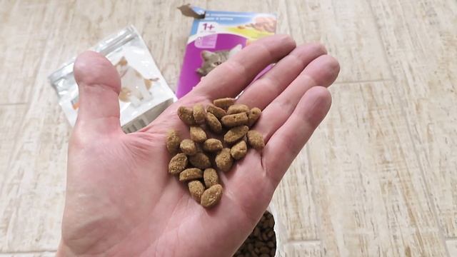 Чем я кормлю кошку ??\\ Обзор сухих кормов смотреть онлайн