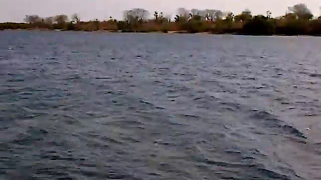 west national bali park смотреть онлайн