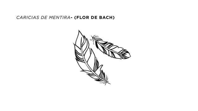Flor de Bach - Caricias de mentira Ft. Xavi Moreno (La Fuga) смотреть онлайн
