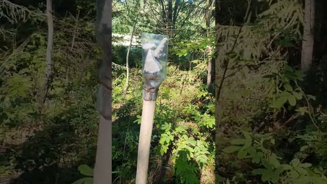 Кормим зайцев смотреть онлайн