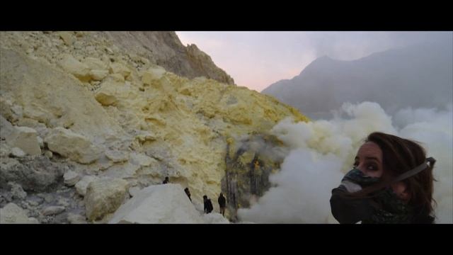 Travel Java in 1 Minute | Organic Optics смотреть онлайн