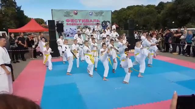 Фестиваль боевых искусств 2017. Хабаровск. смотреть онлайн