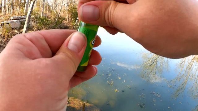 Trying Saltwater Gulp Alive Crab Scent in Freshwater - What did I catch??? смотреть онлайн