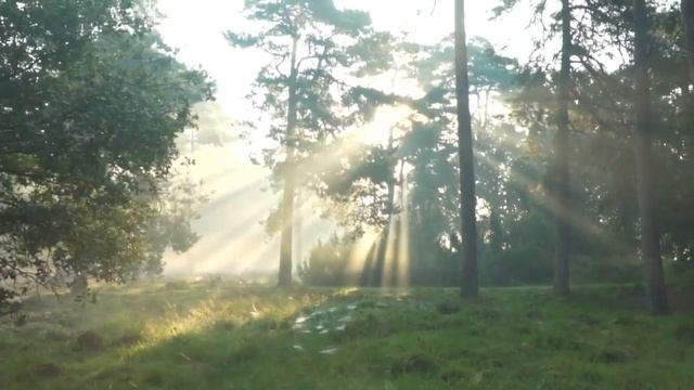 Стихотворение "Как дымкой даль полей закрыв" Бунин Иван смотреть онлайн