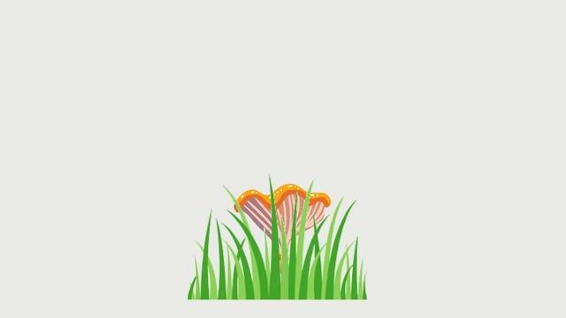 Анимация роста гриба лисички. смотреть онлайн