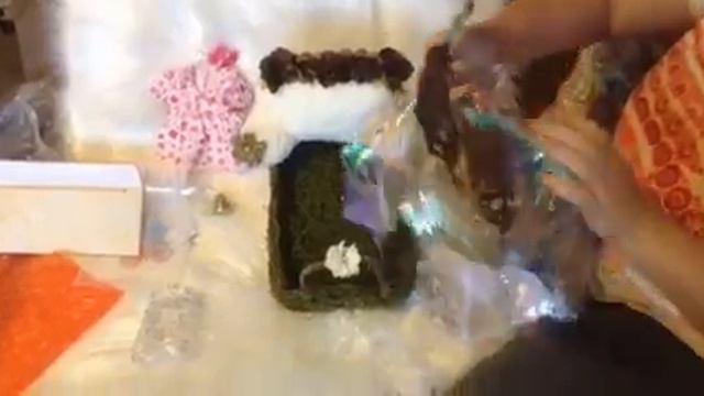 Box Opening Of Petunia Fairy Baby