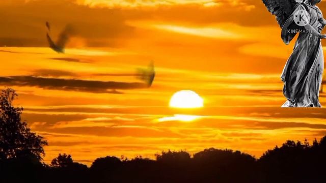 41 numerology 41 angel number 41 meaning in Hindi angels meaning 14 angel number смотреть онлайн