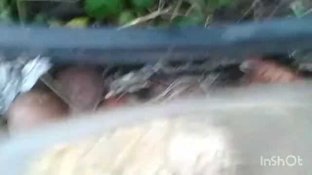 Сажу картошку под зиму.. смотреть онлайн