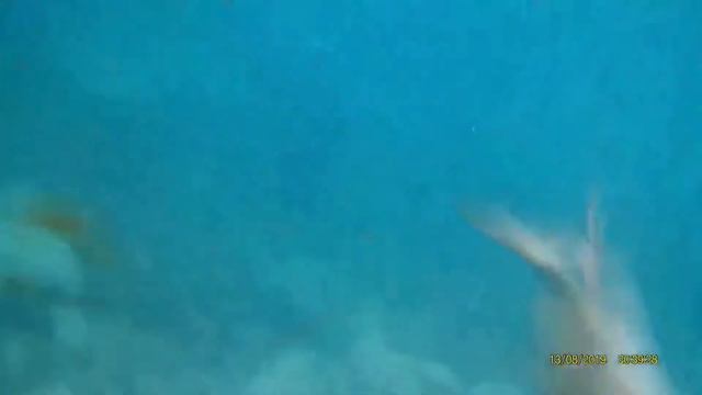 Подводная охота в Испании Pesca Submarina Spain Spearfishing