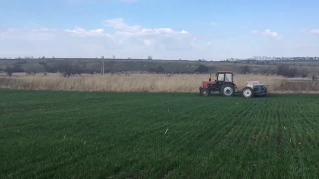 Финишная подкормка карбамидом 13.03.2020 смотреть онлайн