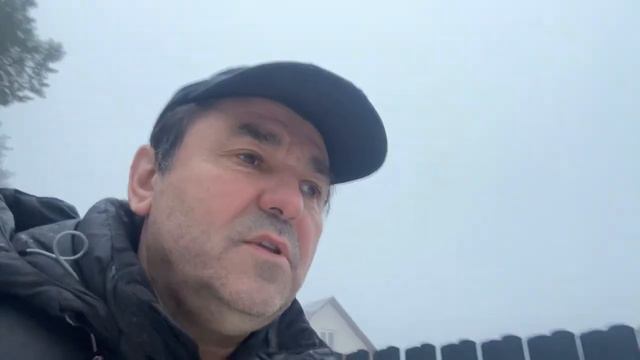 Гуляем с собакой Умкой по лесу. 24.02.2023. смотреть онлайн