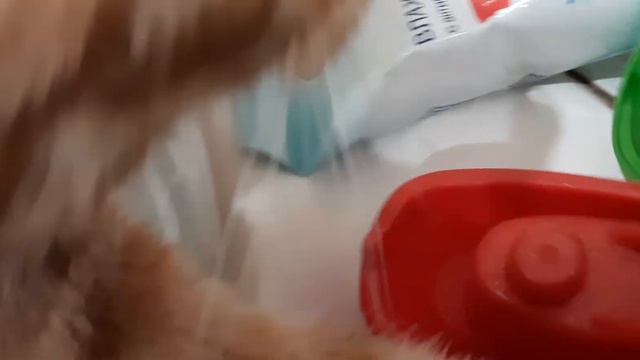Симба прошёл Челлендж вода - Это лава часть 2 смотреть онлайн