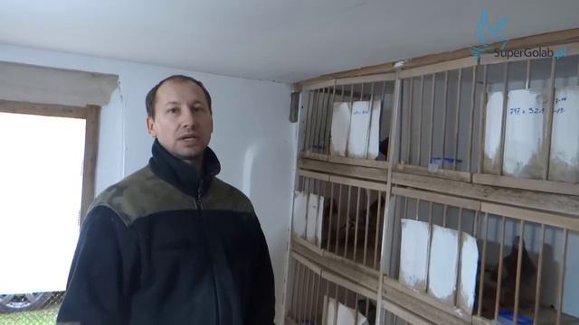 Artur Frąckowiak gołębnik rozpłodowy cz II смотреть онлайн