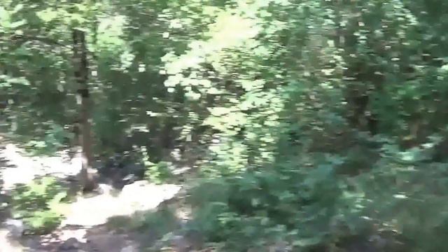 30.07.2015. Римская дорога рядом со Скельской пещерой. смотреть онлайн