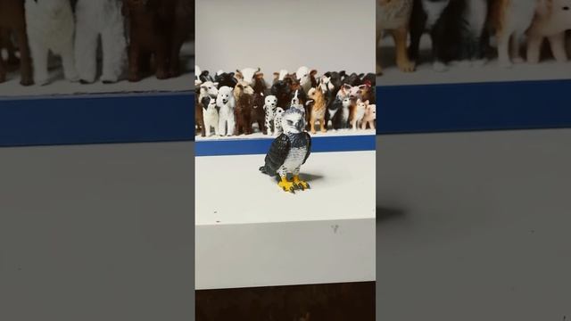 Schleich 14860 Детёныш индийского носорога и 14862 Южноамериканская гарпия ￼￼ смотреть онлайн