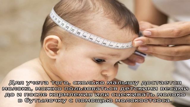 Вес ребенка в 7 месяцев смотреть онлайн