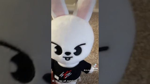 Skzoo | TikTok Compilation PT.1 | StrayKids