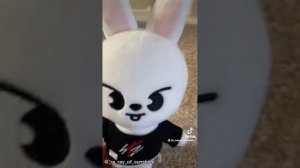 Skzoo | TikTok compilation PT.1 | StrayKids
