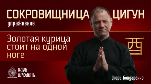 Упражнение «Золотая курица стоит на одной ноге». Цигун для начинающих. Игорь Бондаренко