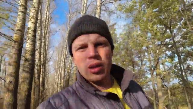 Неизвестные грибы I Осенний лес I Банановое дерево смотреть онлайн