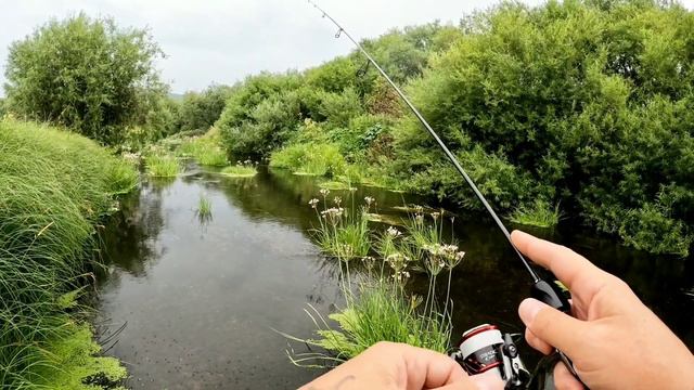 МОРМЫШИНГ на заросшей деревенской речке смотреть онлайн
