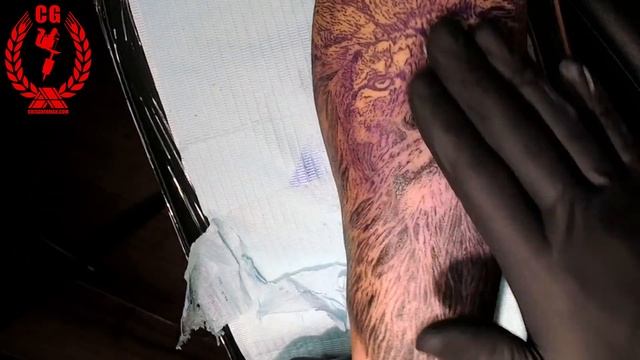 How to tattoo a Lion смотреть онлайн