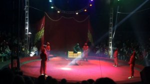 Идем в Цирк. Цирк Граф Орлов