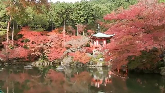 Авторский курс Рэйки Микао Усуи для начинающих