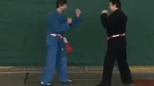 Приёмы каратэ очень эффективные самоучитель.