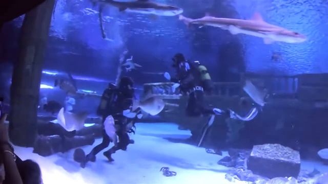 Турция 2020 АНТАЛИЯ АКВАРИУМ смотреть онлайн