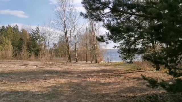 Липецкое водохранилище. Липецк. Липецкая область.