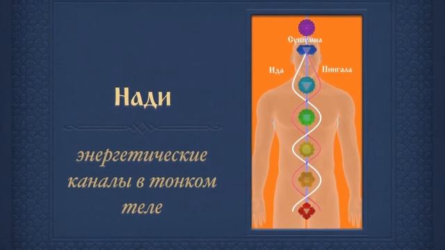 Энергетические каналы в теле человека. Дарья Чудина смотреть онлайн