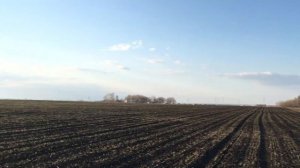 Овсинский. Боронование озимой пшеницы ротационной бороной.